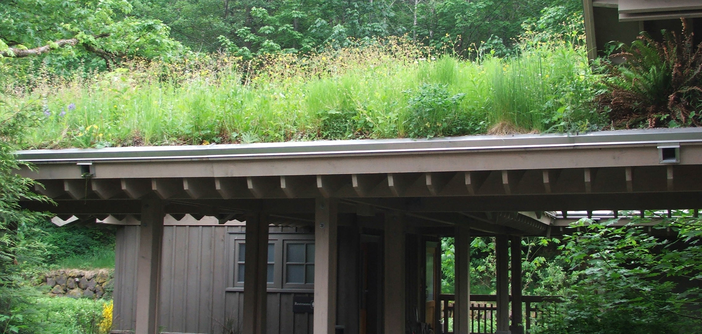 green roofs South Africa